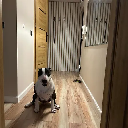 Waska 9 * شتشيتسين